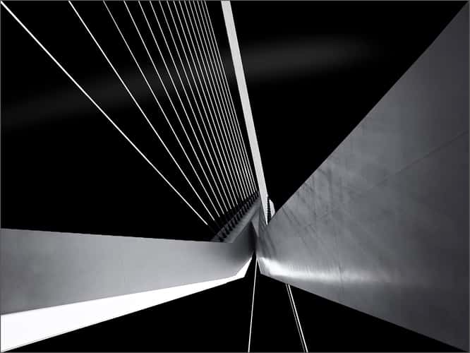 Erasmus Bridge / Erasmusbrug