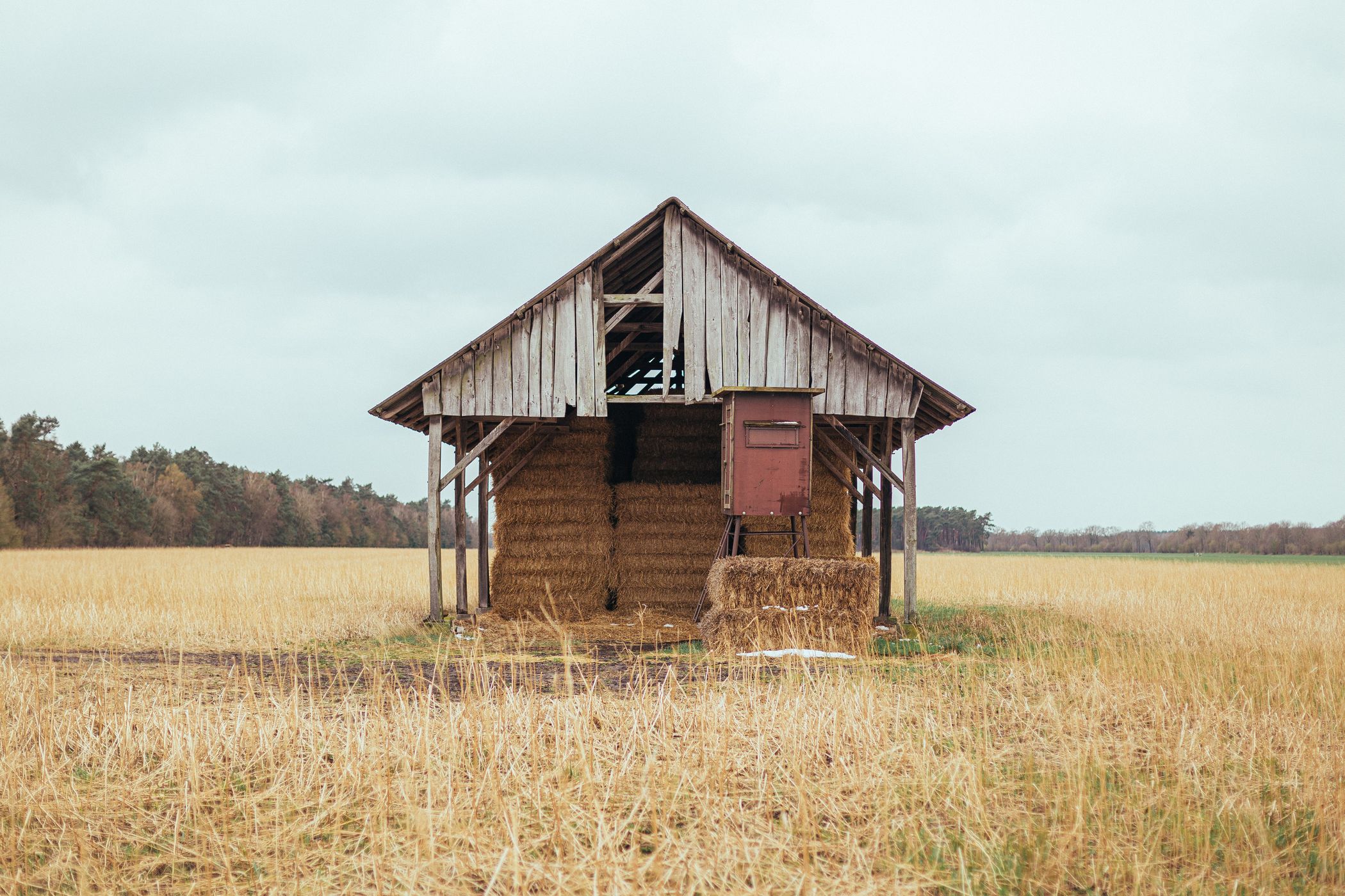 Field barn near Lohne, Germany