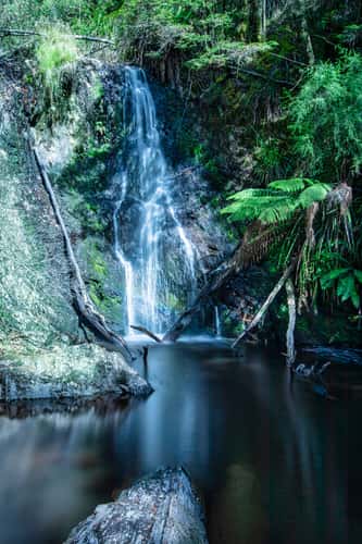 Hogarth Falls, Strahan, Tasmania