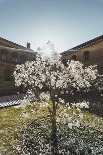 Kabinettsgarten