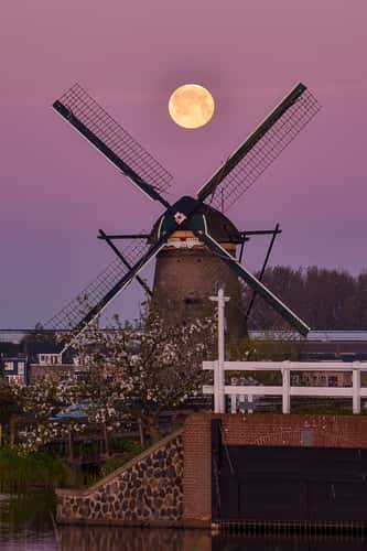 Kinderdijk