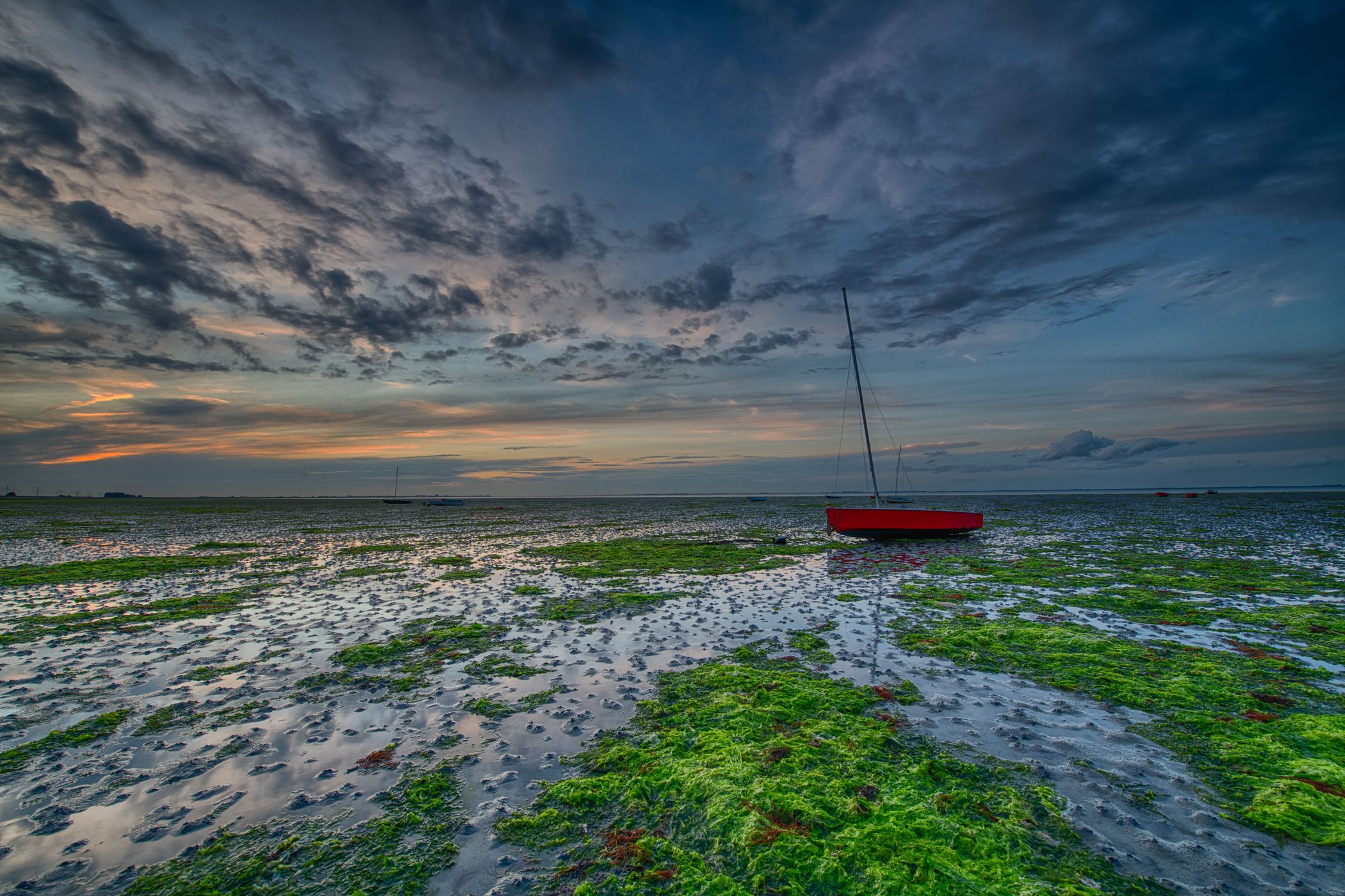 Krabbendijke Mudflat, Netherlands