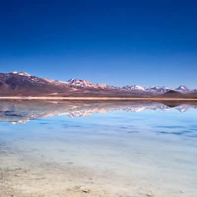 Laguna Blanca, Bolivia