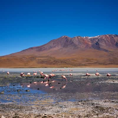 Laguna Hedionda, Bolivia