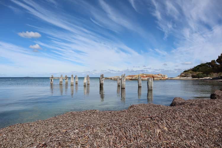 Lillies Bay
