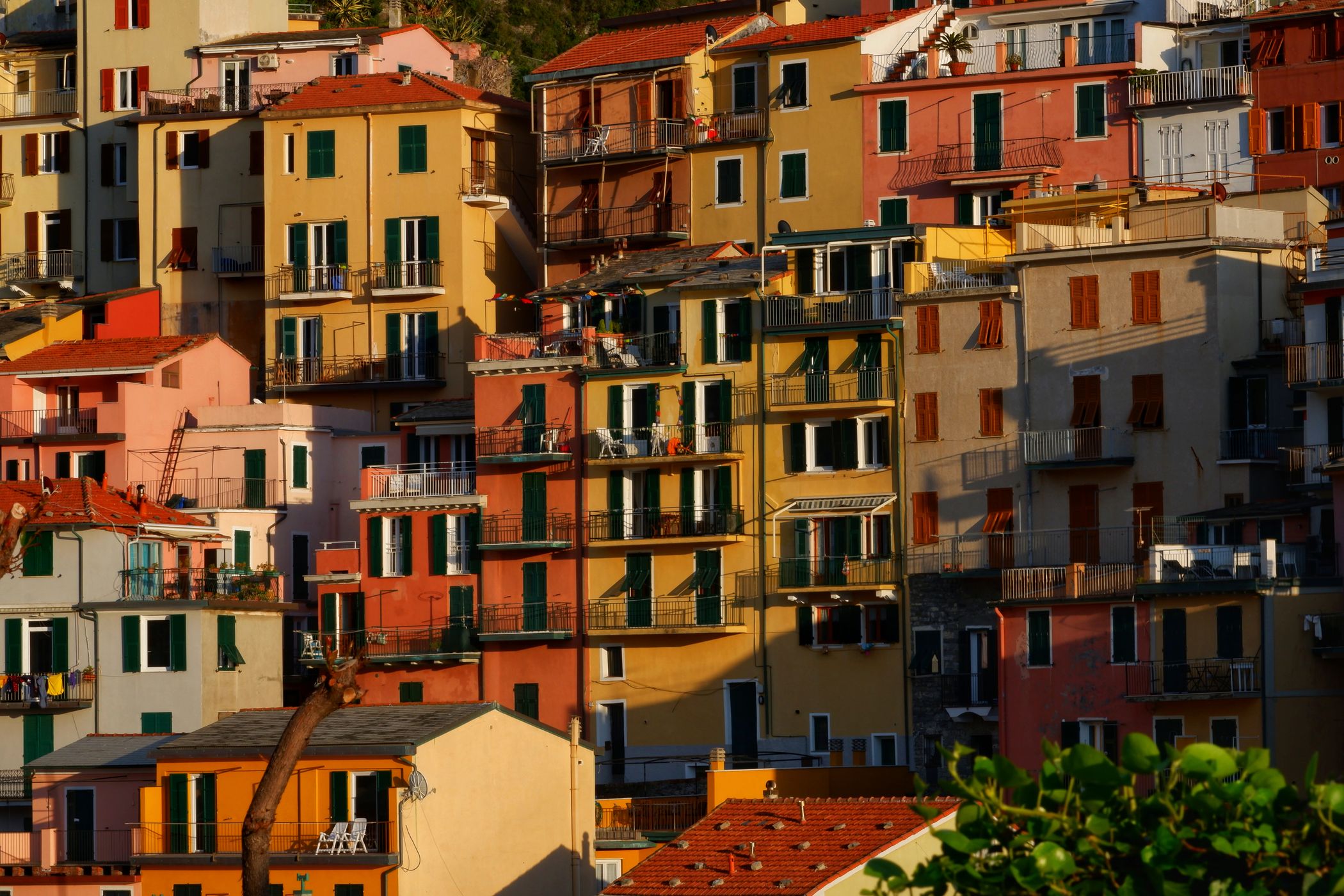 Manarola, Cinque Terre, Italy