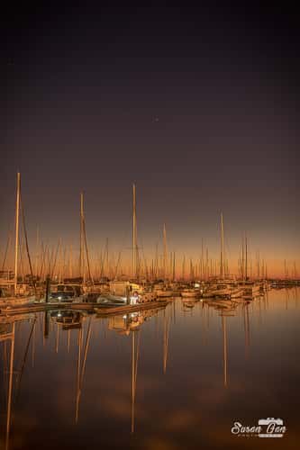 Manly Boat Harbour