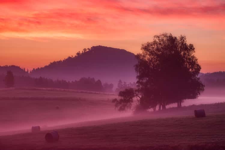Meadows near Vysoká Lípa, Czech Republic