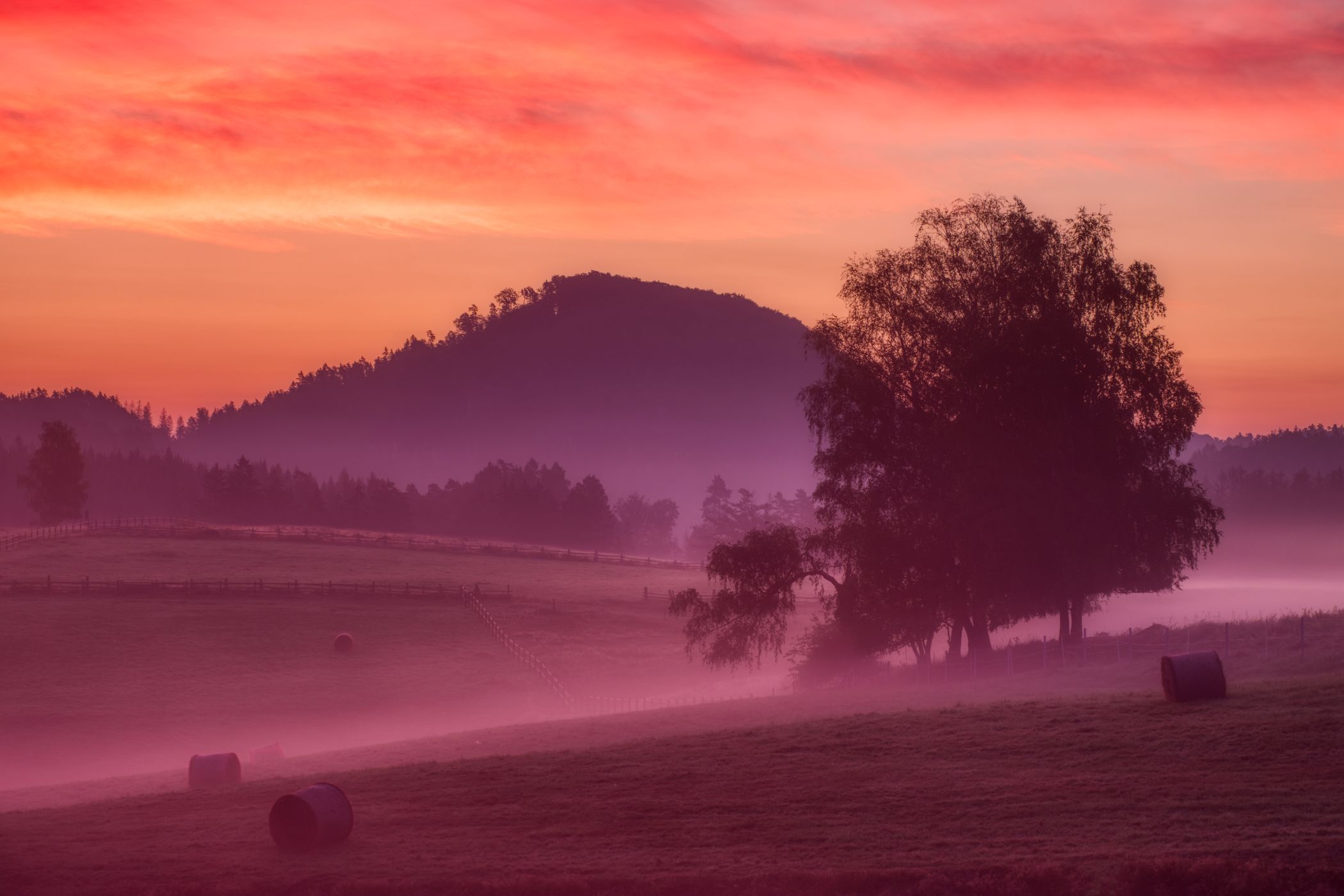 Meadows near Vysoká Lípa, Czech Republic, Czech Republic