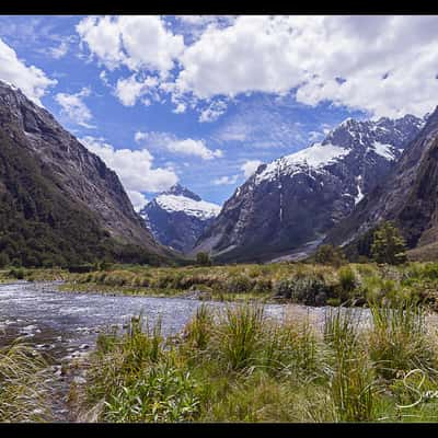 Monkey Creek, New Zealand