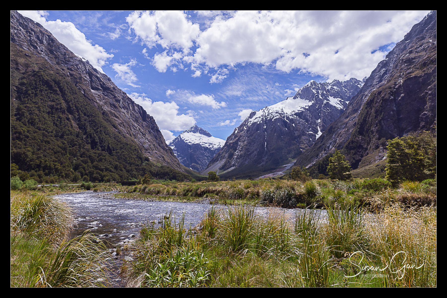 Monkey Creek, New Zealand