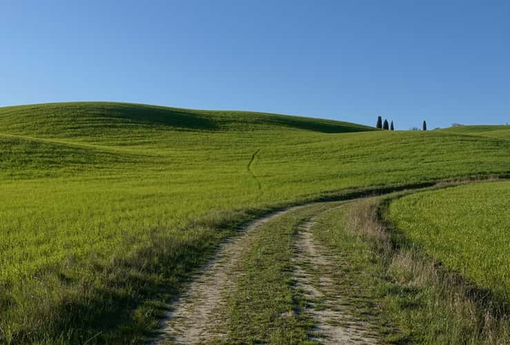 near il Rigo