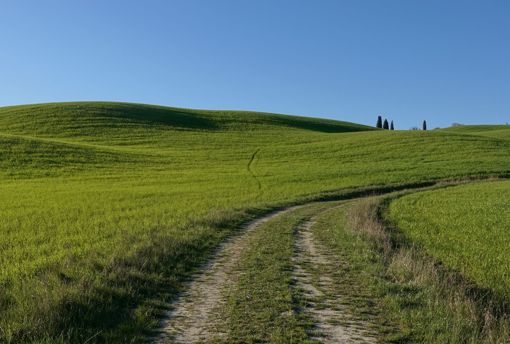 near il Rigo, Italy