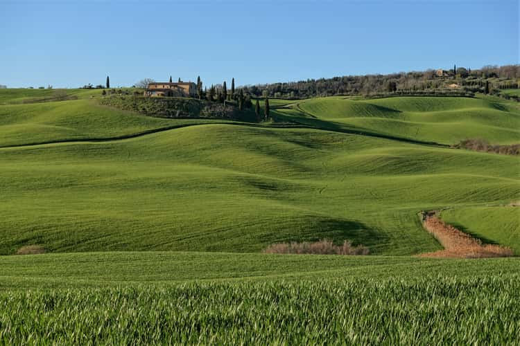 near il Rigo