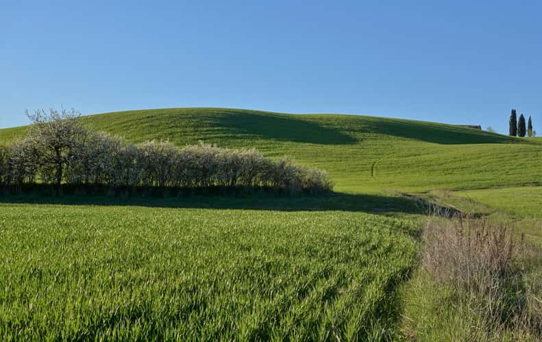 near il Rigo