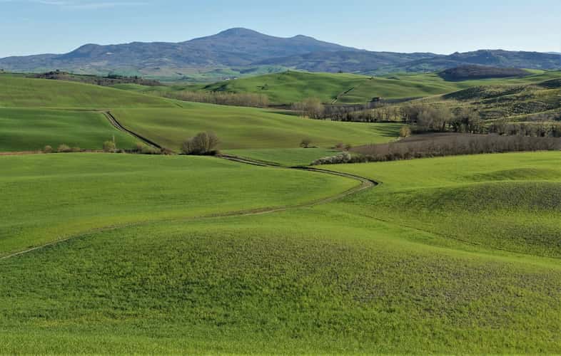near il Rigo