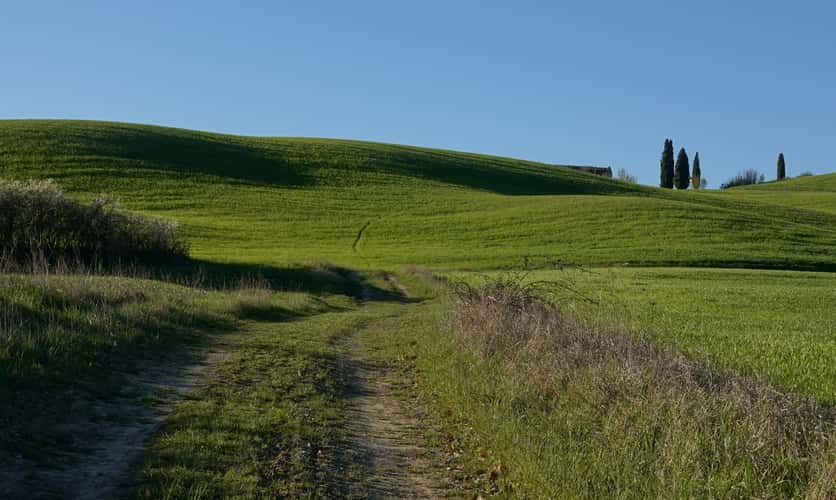 near il Rigo