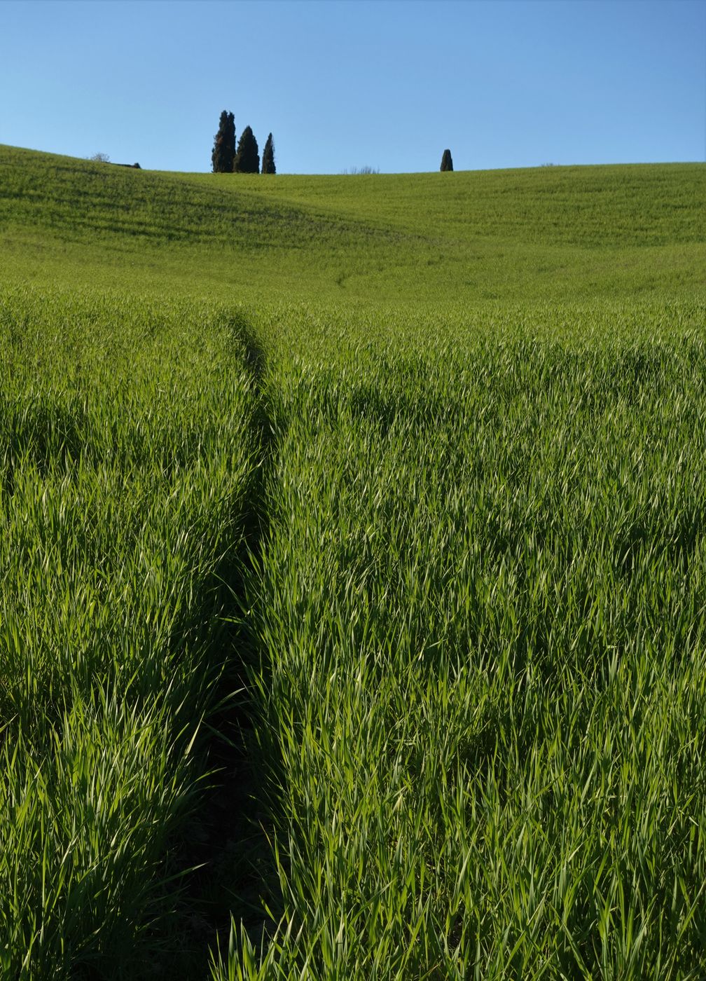 near il Rigo, Italy