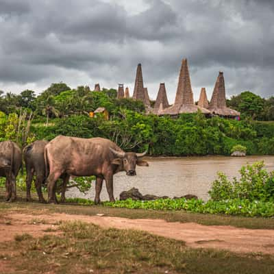 Pantain Ratenggaro - Kampung Adat Ratenggaro, Indonesia