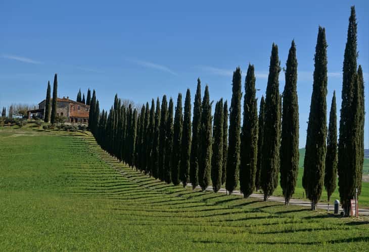 Poggio Covili