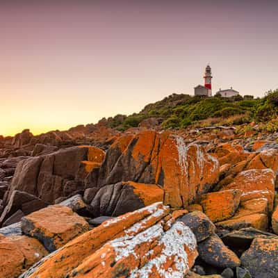 Red rocks sunrise Low Head Lighthouse, Tasmania, Australia