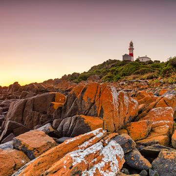 Red rocks sunrise Low Head Lighthouse, Tasmania, Australia