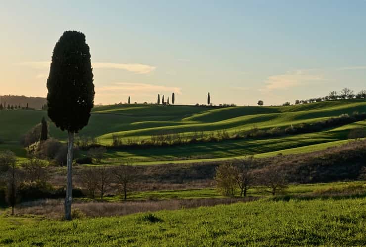 Pienza
