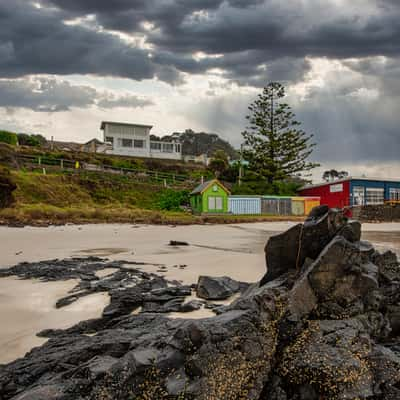 Rock, Coloured storage, Boat Harbour Beach, Tasmania, Australia