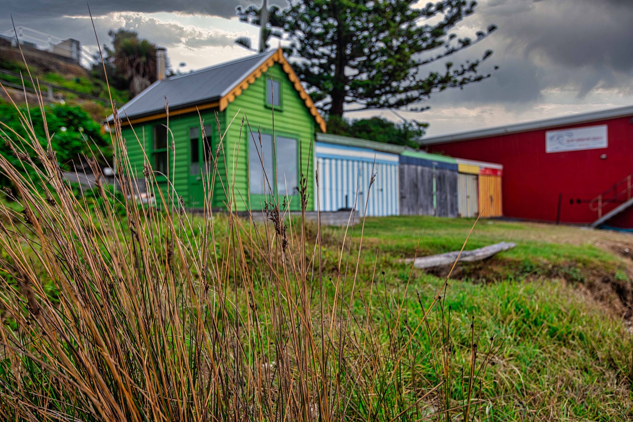 Rock, Coloured storage, Boat Harbour Beach, Tasmania, Australia
