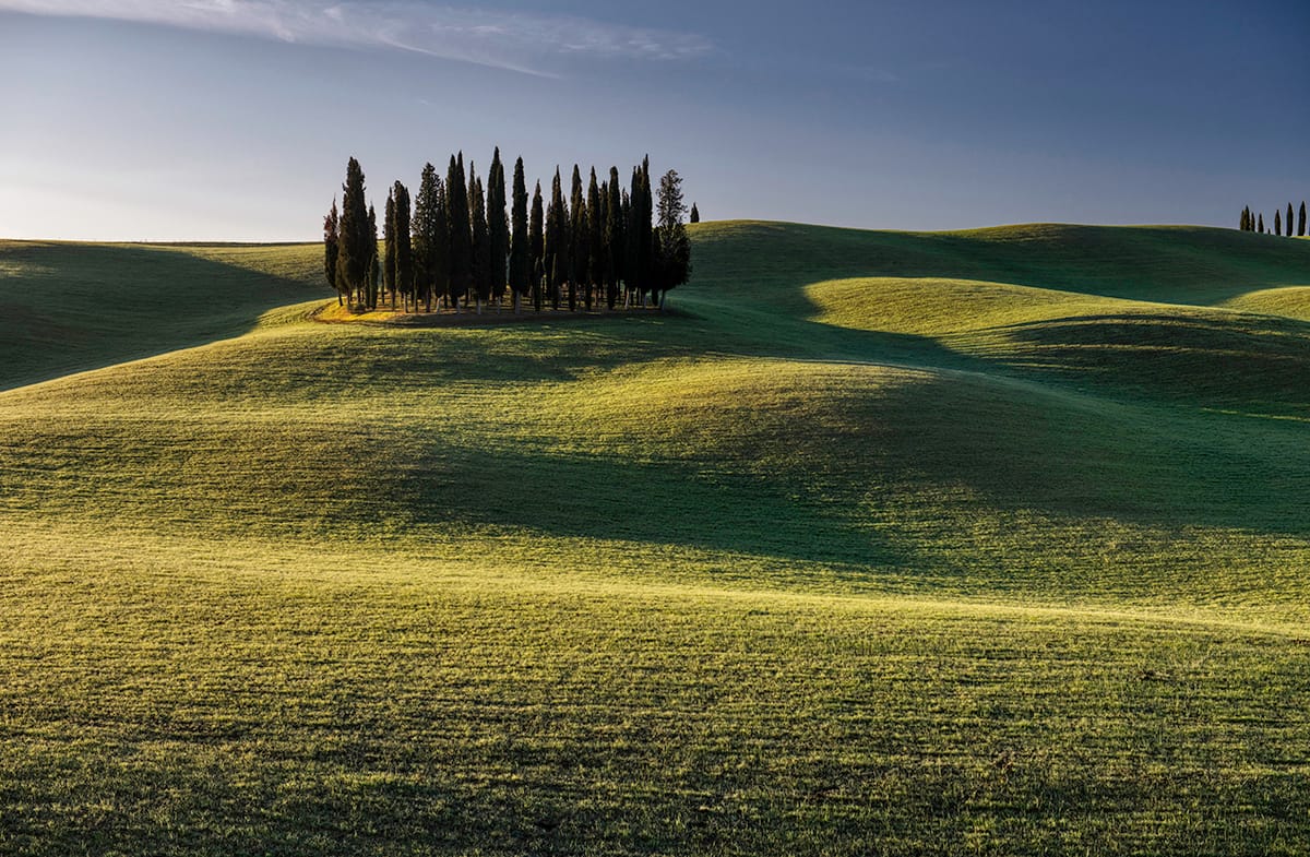 San Quirico d'Orcia, cipressi, Italy