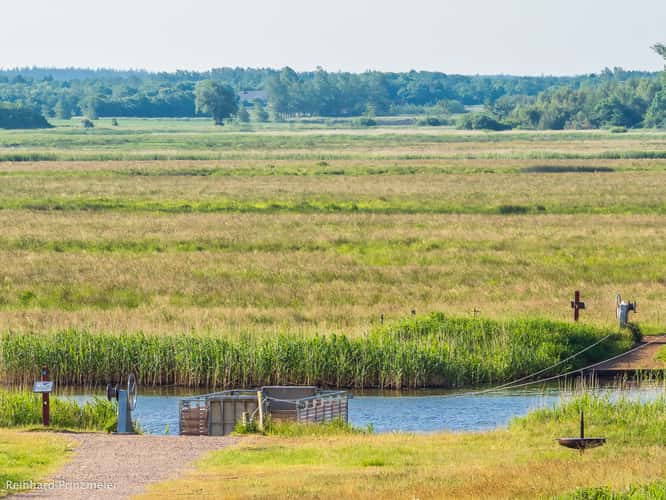 Skjern Enge Pull Ferry