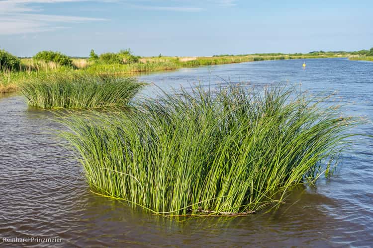 Skjern Enge Pull Ferry