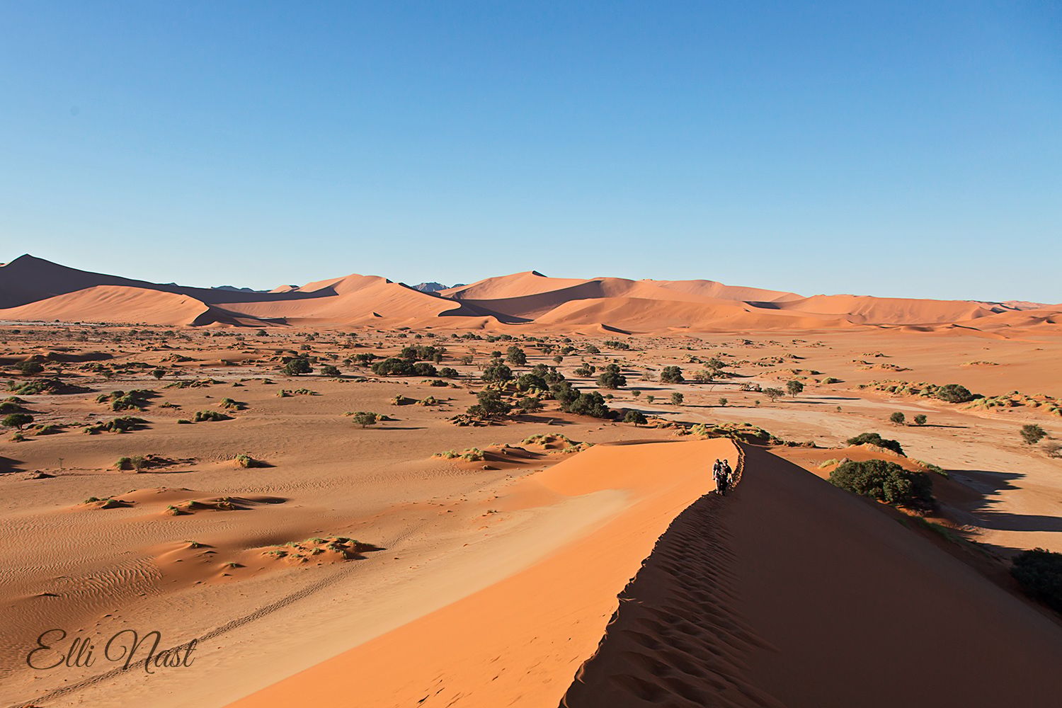 Sossusvlei, Namibia
