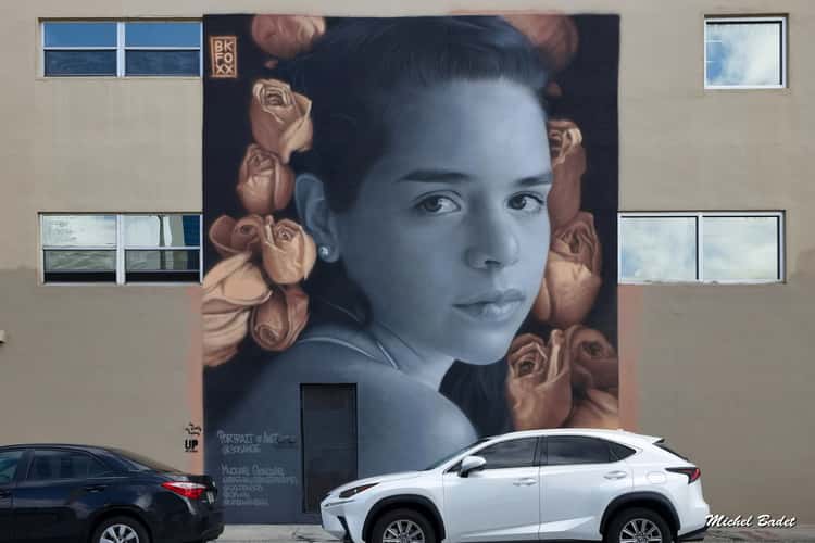 Street art in Miami Wynwood