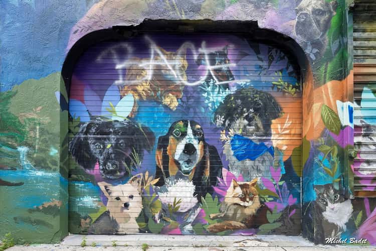 Street art in Miami Wynwood