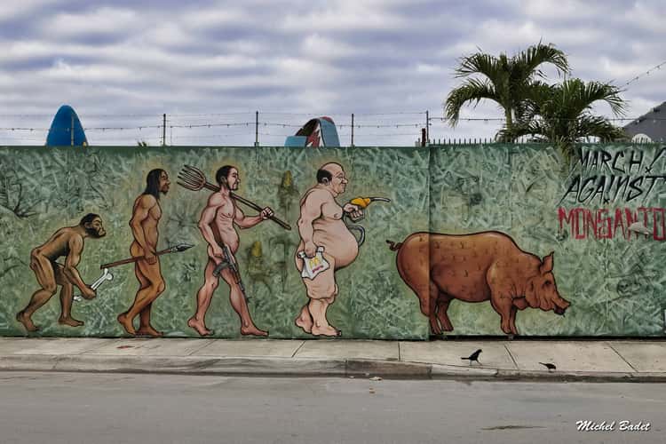 Street art in Miami Wynwood