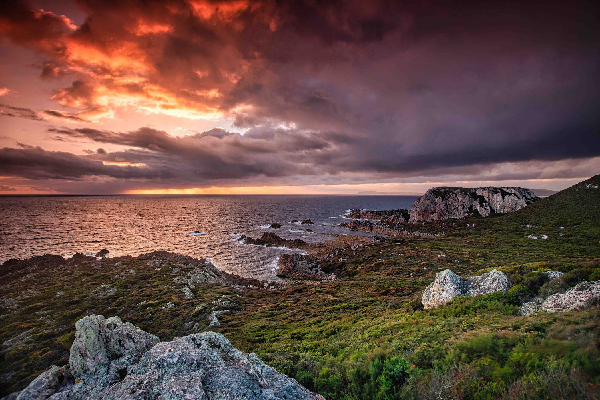 Sunrise Red Rocks, Rocky Cape, Tasmania, Australia