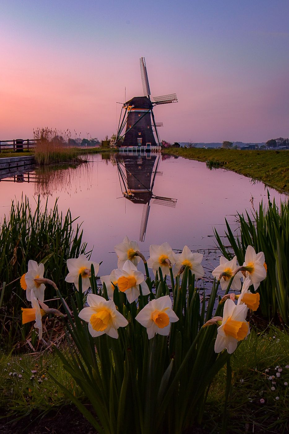Sunset on Driemanspolder Windmills in Stompwijk, Netherlands