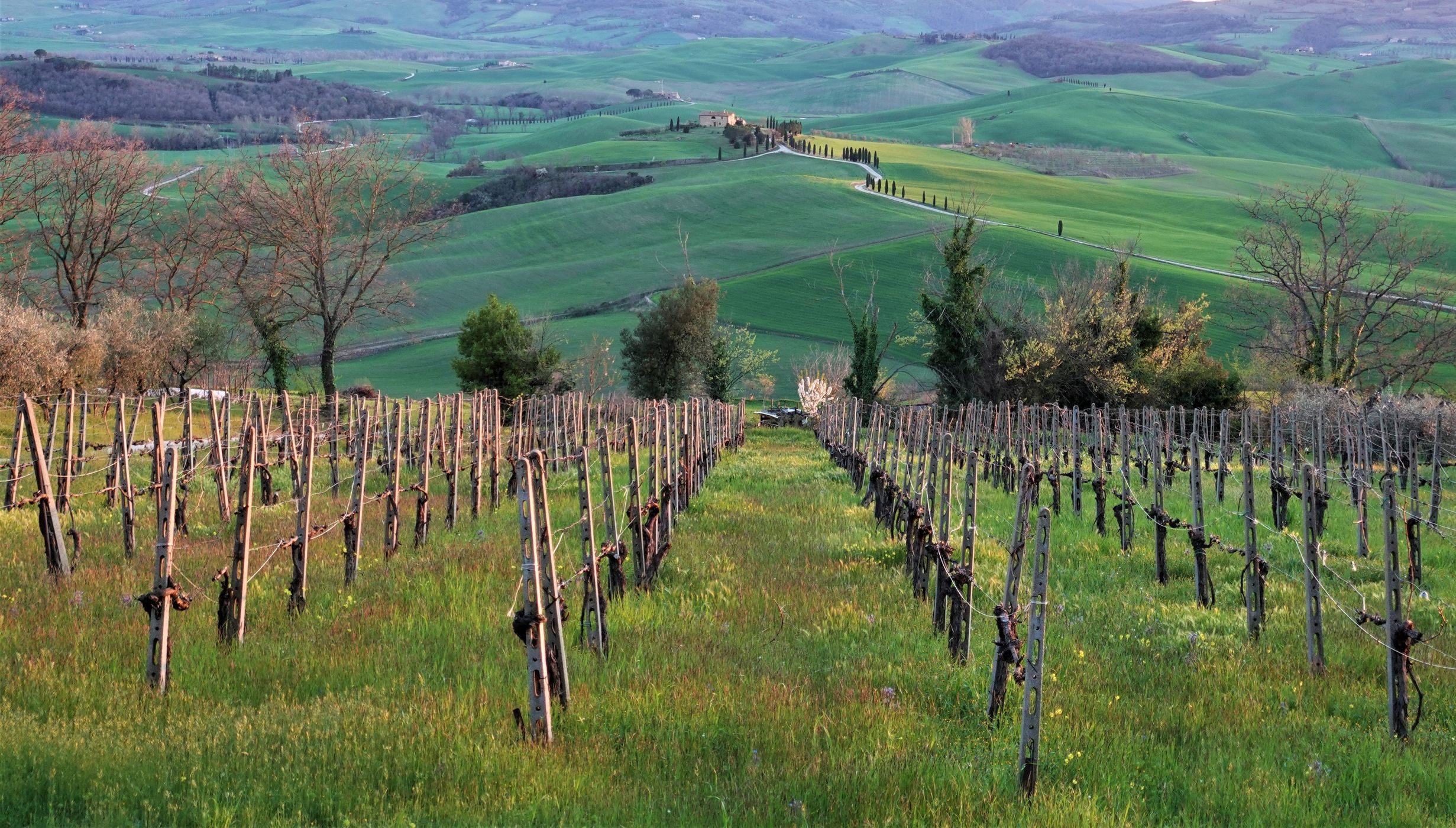 Pienza, Italy