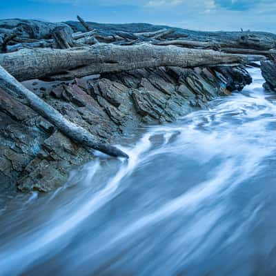 The rocks and Drifwood, Arthur River, Tasmania, Australia