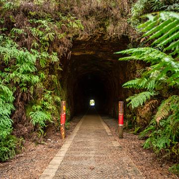 The spray tunnel, Zeehan, Tasmania, Australia