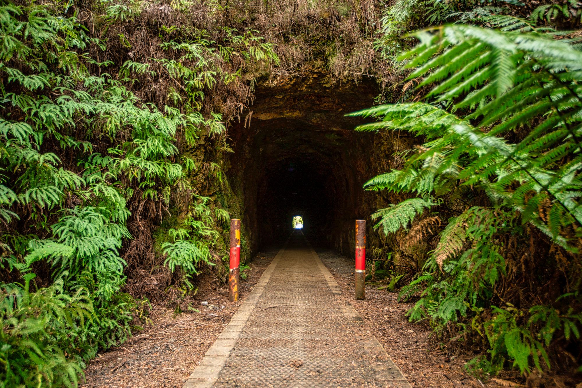 The spray tunnel, Zeehan, Tasmania, Australia