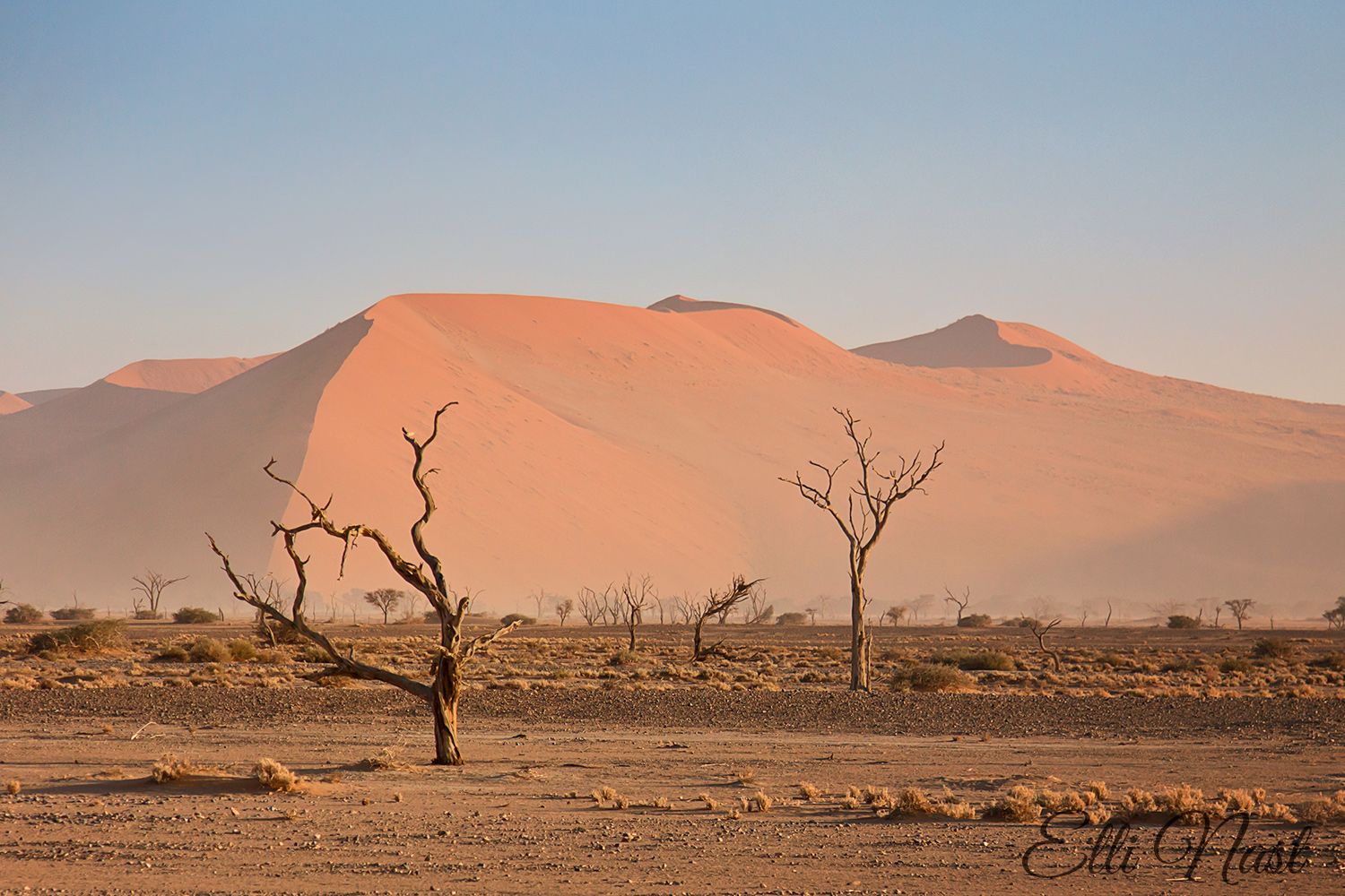 Tsauchab River, Namibia