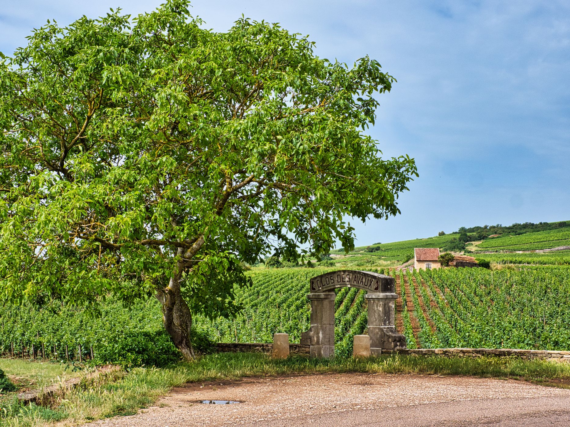 À travers les Grands Crus de Beaune, France