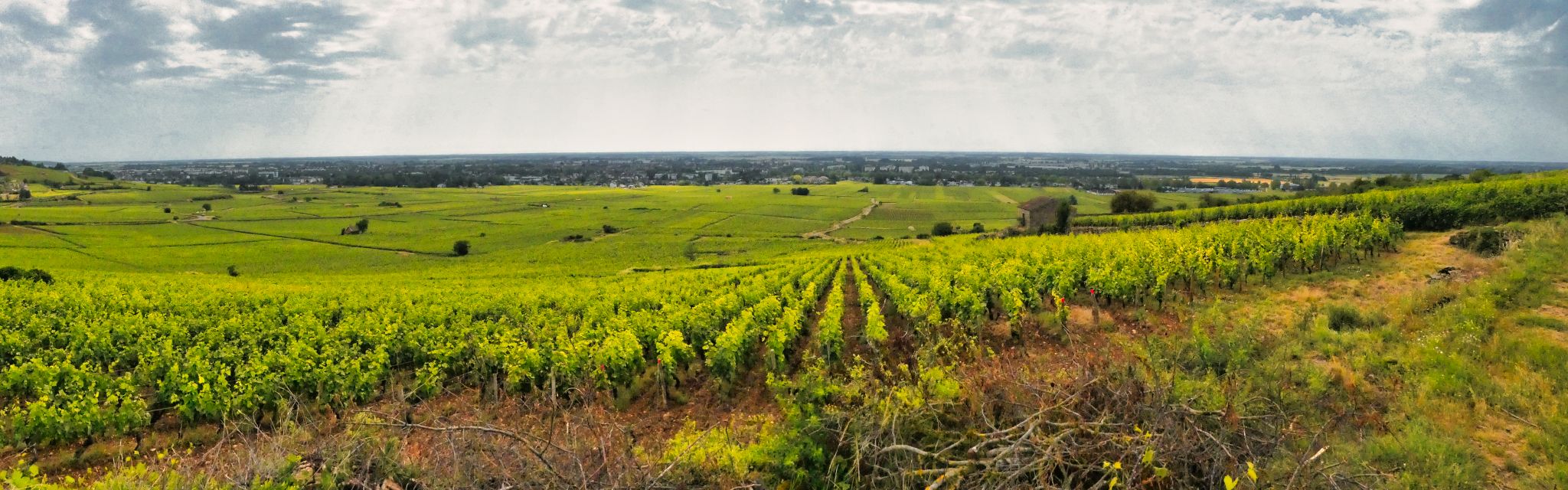 À travers les Grands Crus de Beaune, France