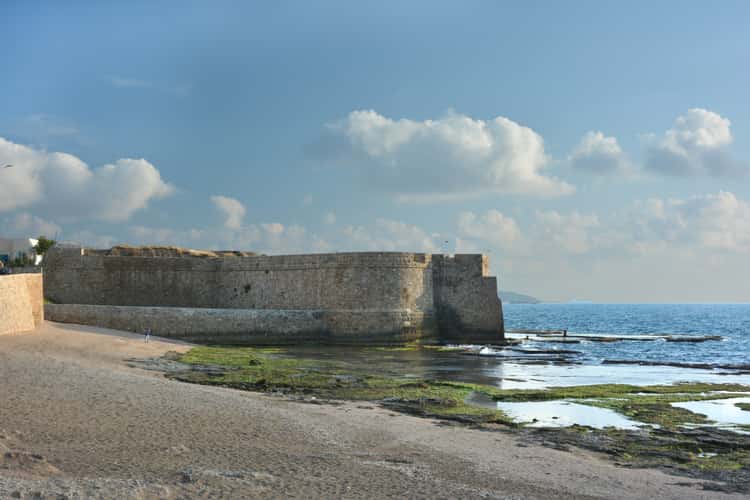 Acre Akko