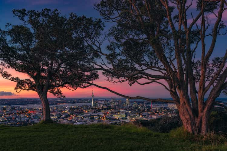 Auckland Skyline from Mount Eden