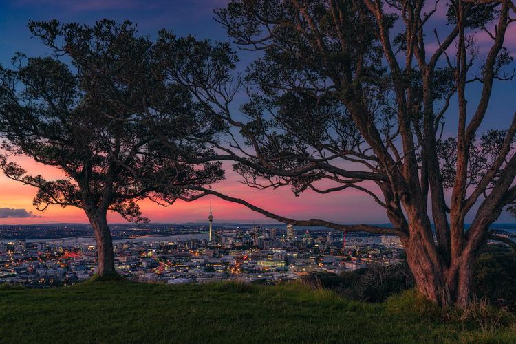 Auckland Skyline from Mount Eden