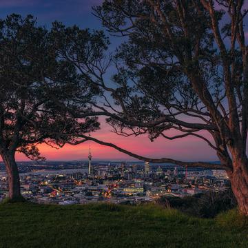 Auckland Skyline from Mount Eden, New Zealand