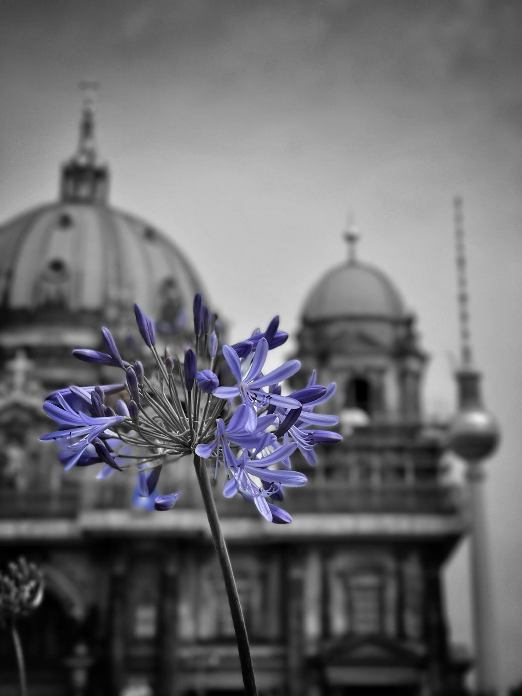Berlin Cathedral (Berliner Dom), Germany